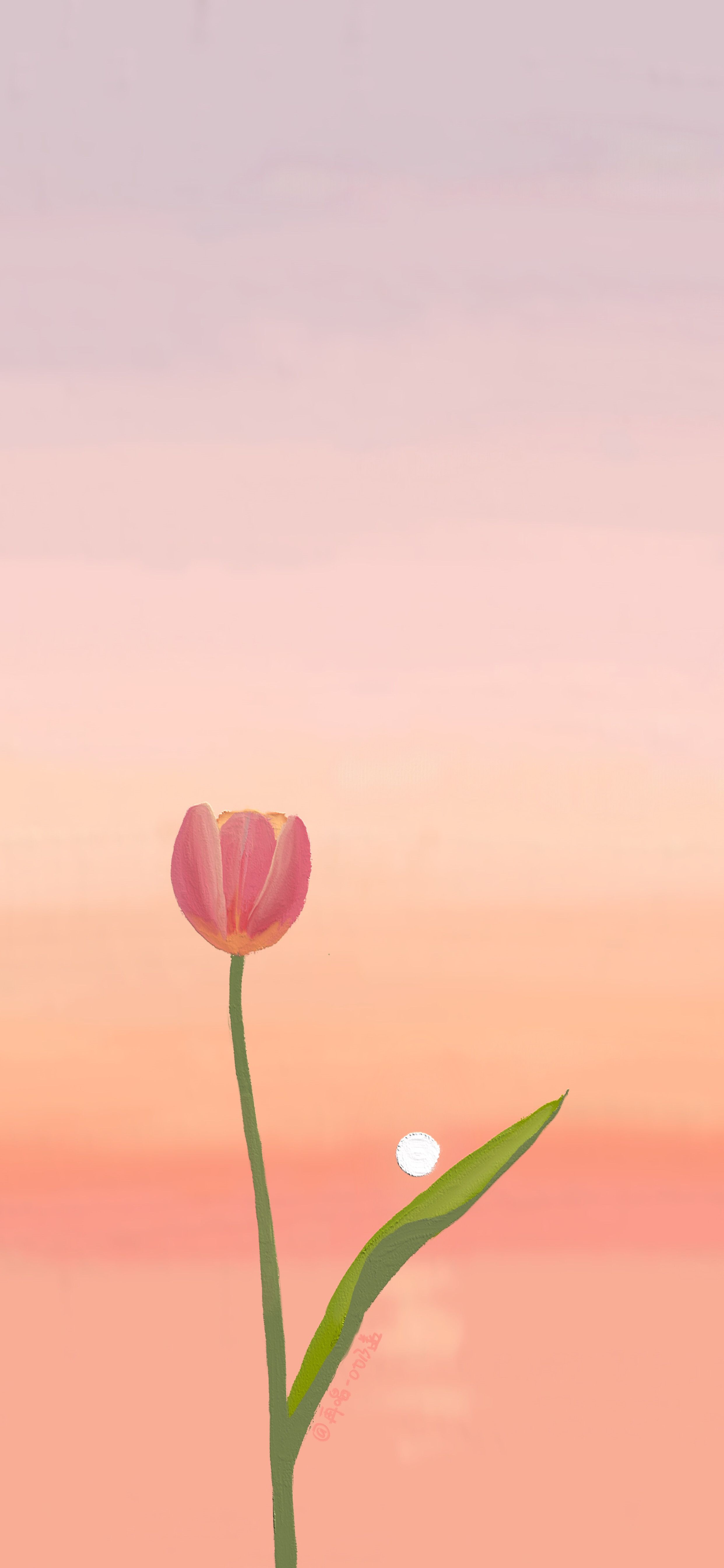 Detail Background Bunga Peach Nomer 23