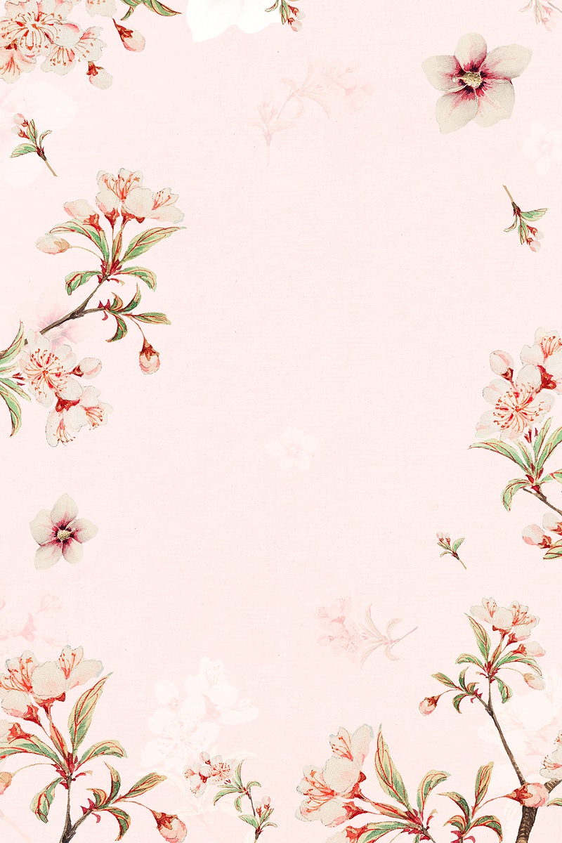 Detail Background Bunga Peach Nomer 24