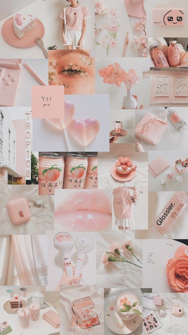 Detail Background Bunga Peach Nomer 28