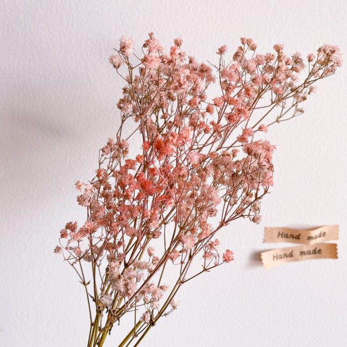 Detail Background Bunga Peach Nomer 30