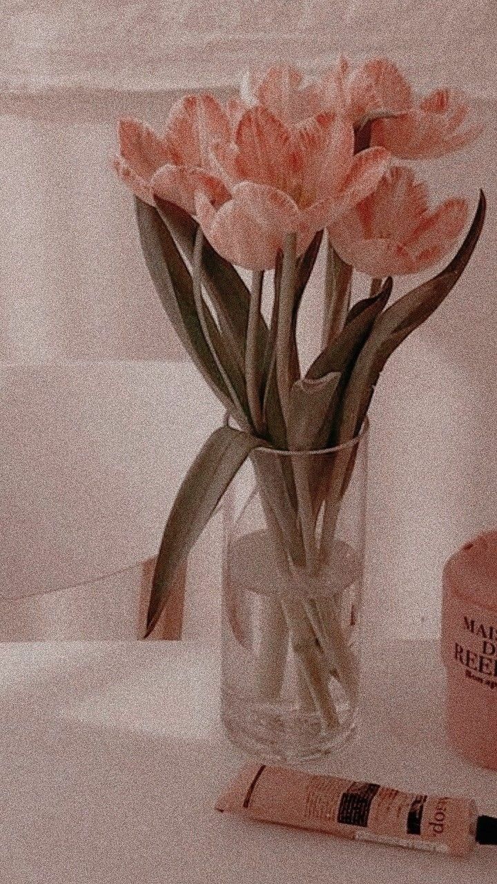Detail Background Bunga Peach Nomer 34