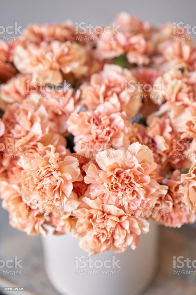 Detail Background Bunga Peach Nomer 35