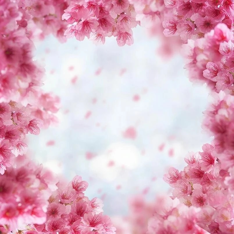Detail Background Bunga Peach Nomer 5