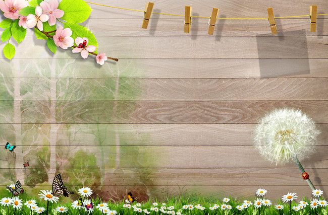 Detail Background Bunga Peach Nomer 43