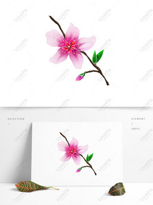 Detail Background Bunga Peach Nomer 45