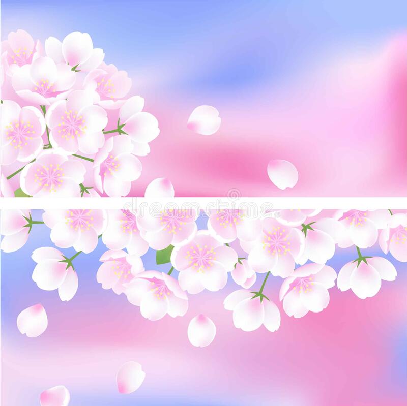 Detail Background Bunga Peach Nomer 47