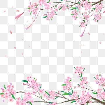 Detail Background Bunga Peach Nomer 48