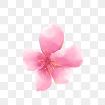 Detail Background Bunga Peach Nomer 54