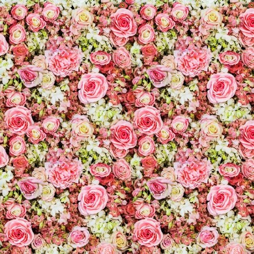 Detail Background Bunga Peach Nomer 55