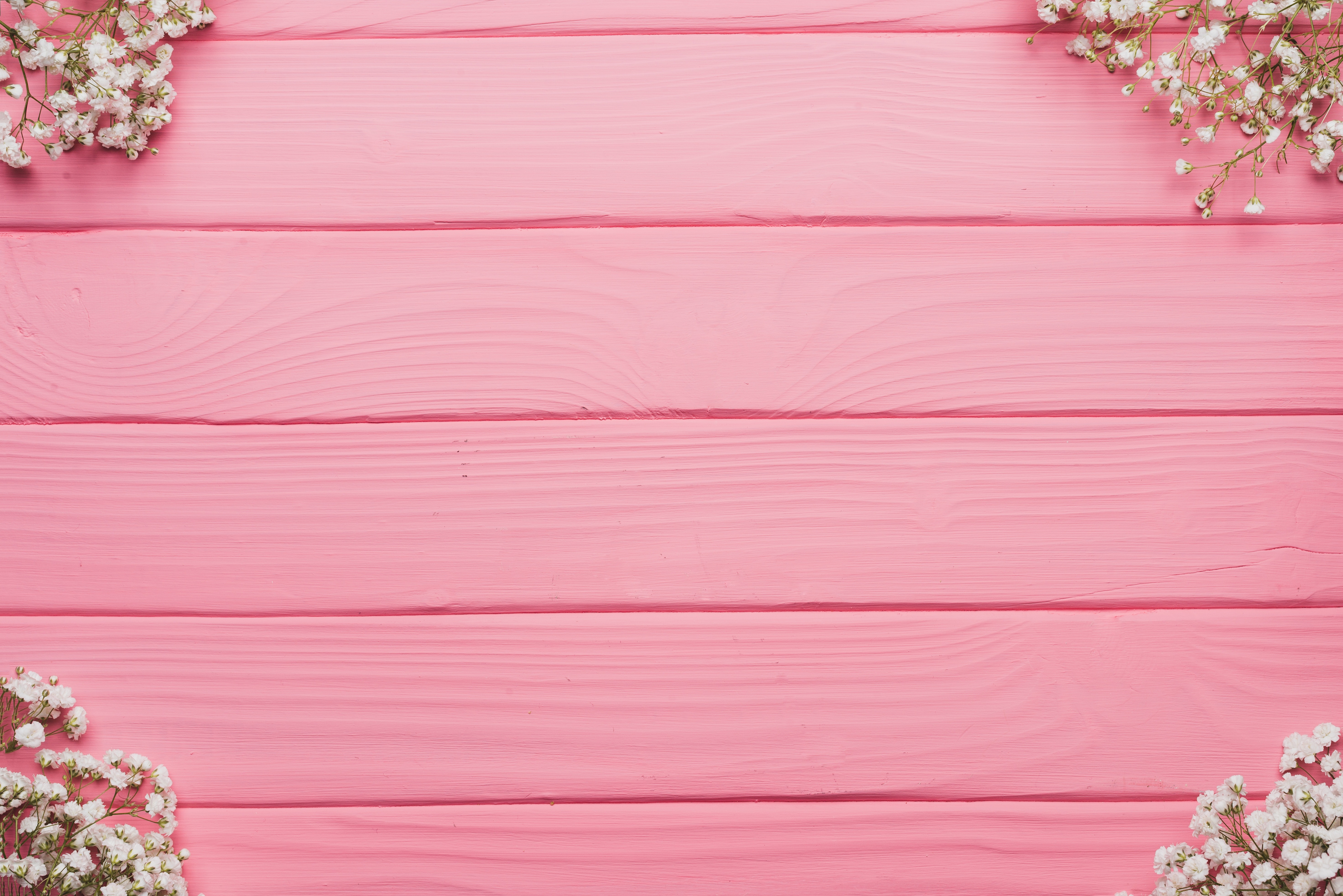 Detail Background Bunga Pink Nomer 4