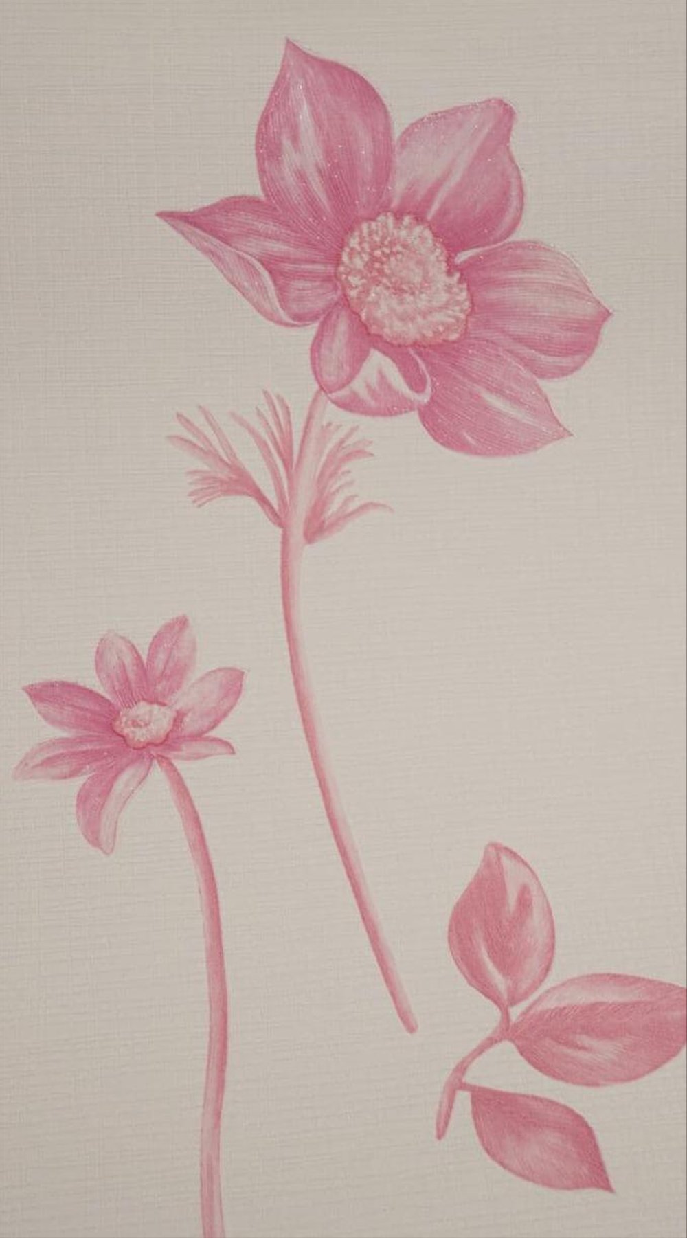 Detail Background Bunga Pink Nomer 33