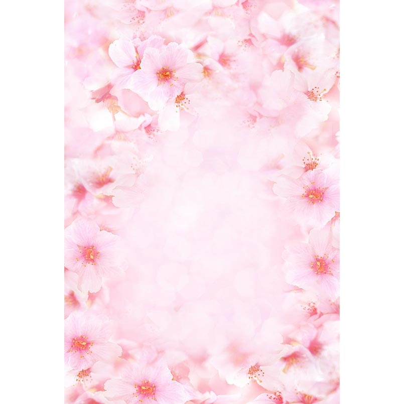 Detail Background Bunga Pink Nomer 35