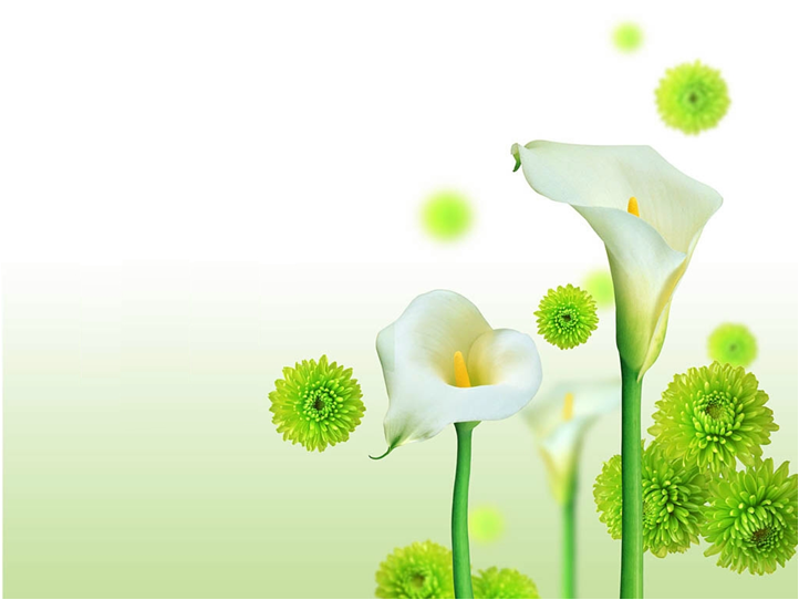 Detail Background Bunga Ppt Nomer 33