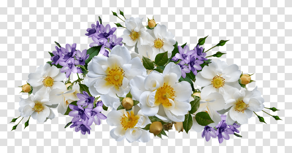 Detail Background Bunga Putih Nomer 11