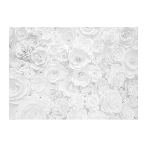 Detail Background Bunga Putih Nomer 22