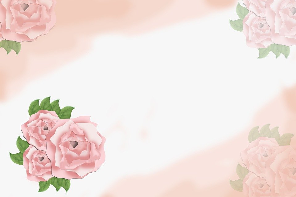 Detail Background Bunga Rose Nomer 4