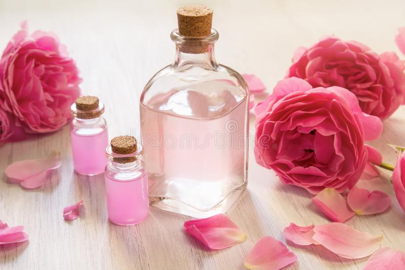 Detail Background Bunga Rose Nomer 55