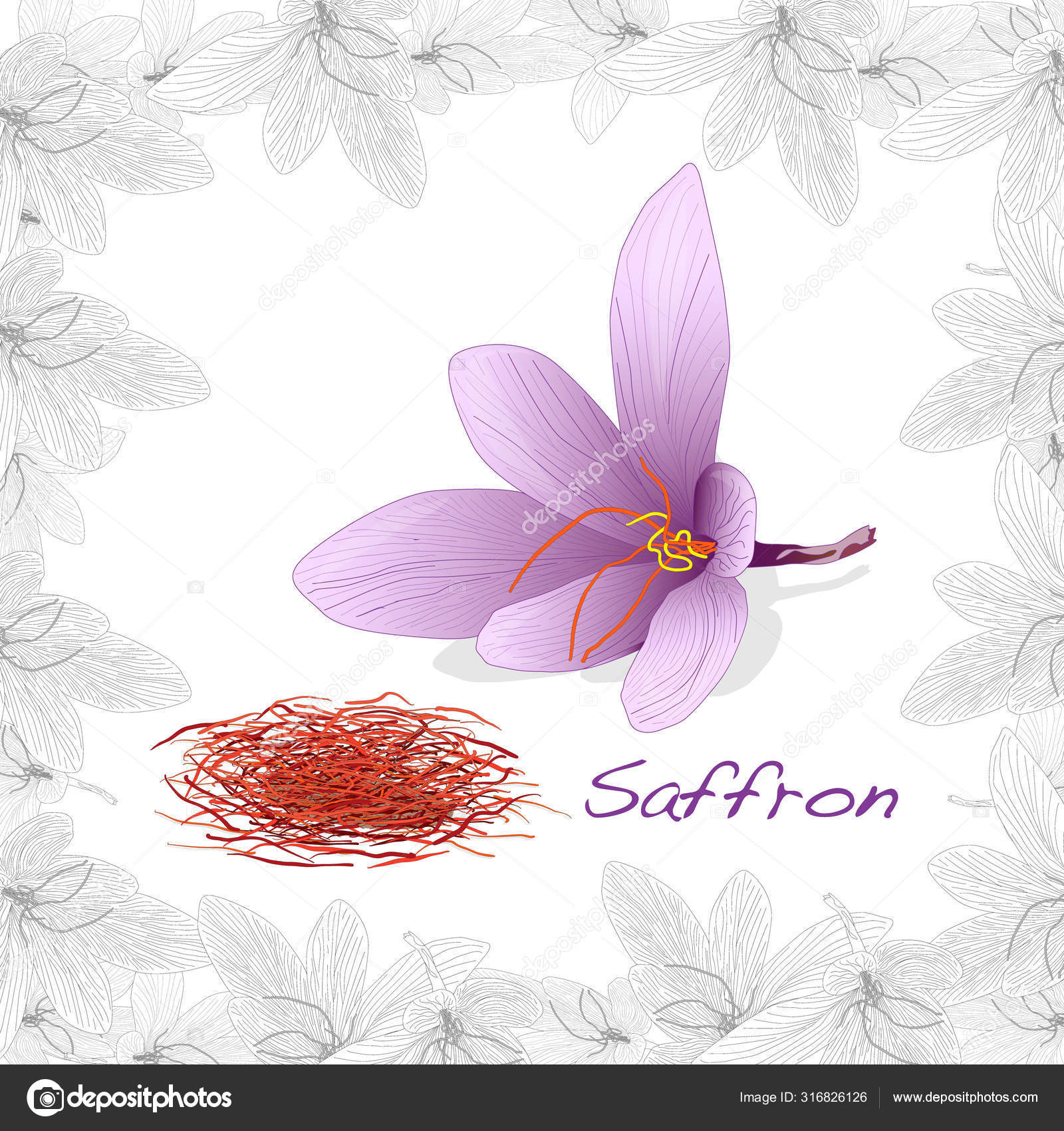 Detail Background Bunga Saffron Nomer 15