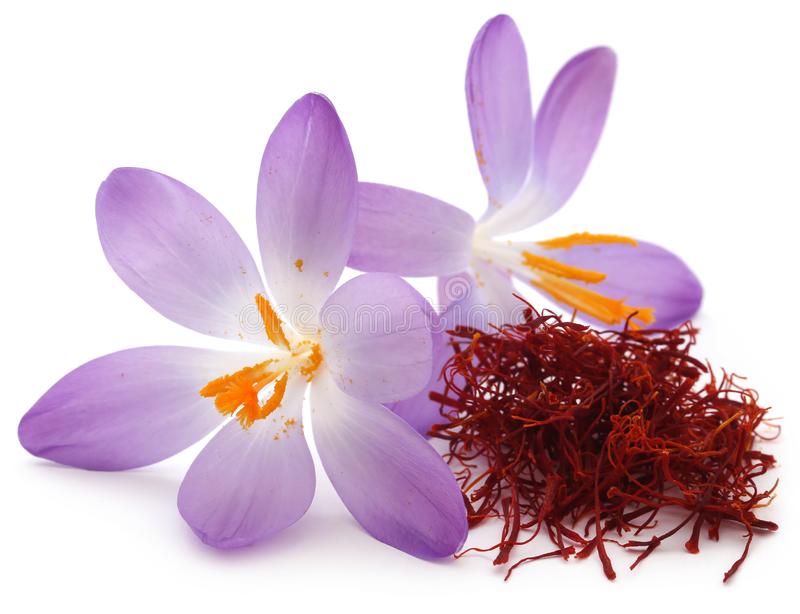 Detail Background Bunga Saffron Nomer 24