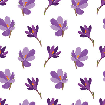 Detail Background Bunga Saffron Nomer 4