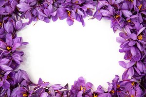 Detail Background Bunga Saffron Nomer 7