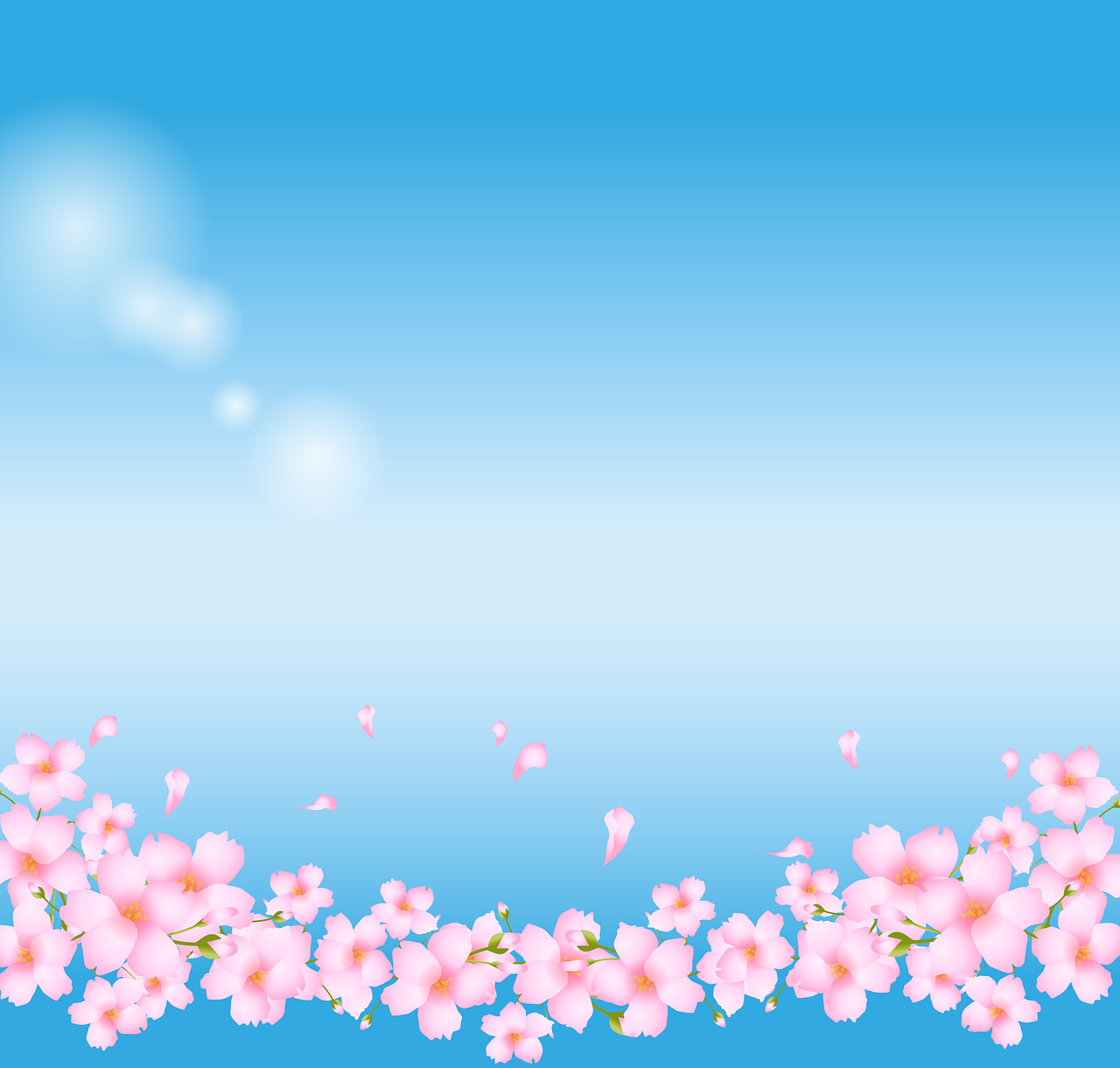 Detail Background Bunga Sakura Nomer 12