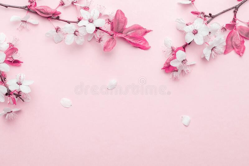 Detail Background Bunga Sakura Nomer 27