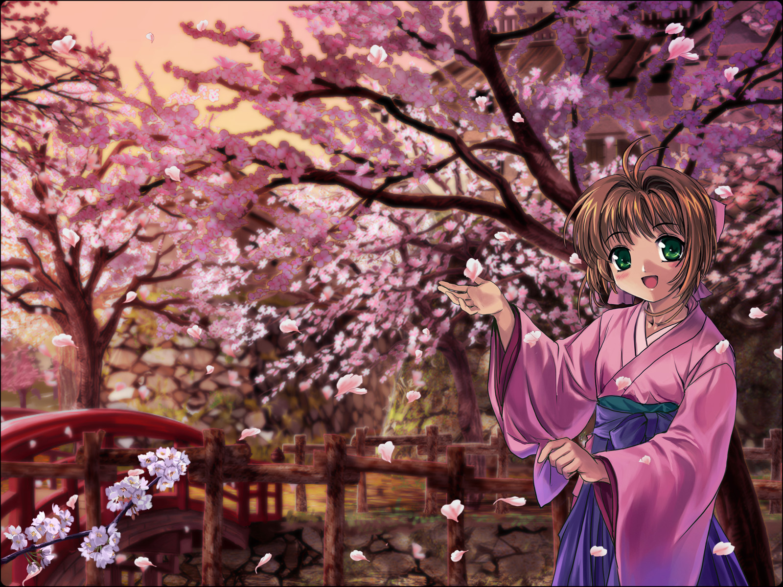 Detail Background Bunga Sakura Nomer 56