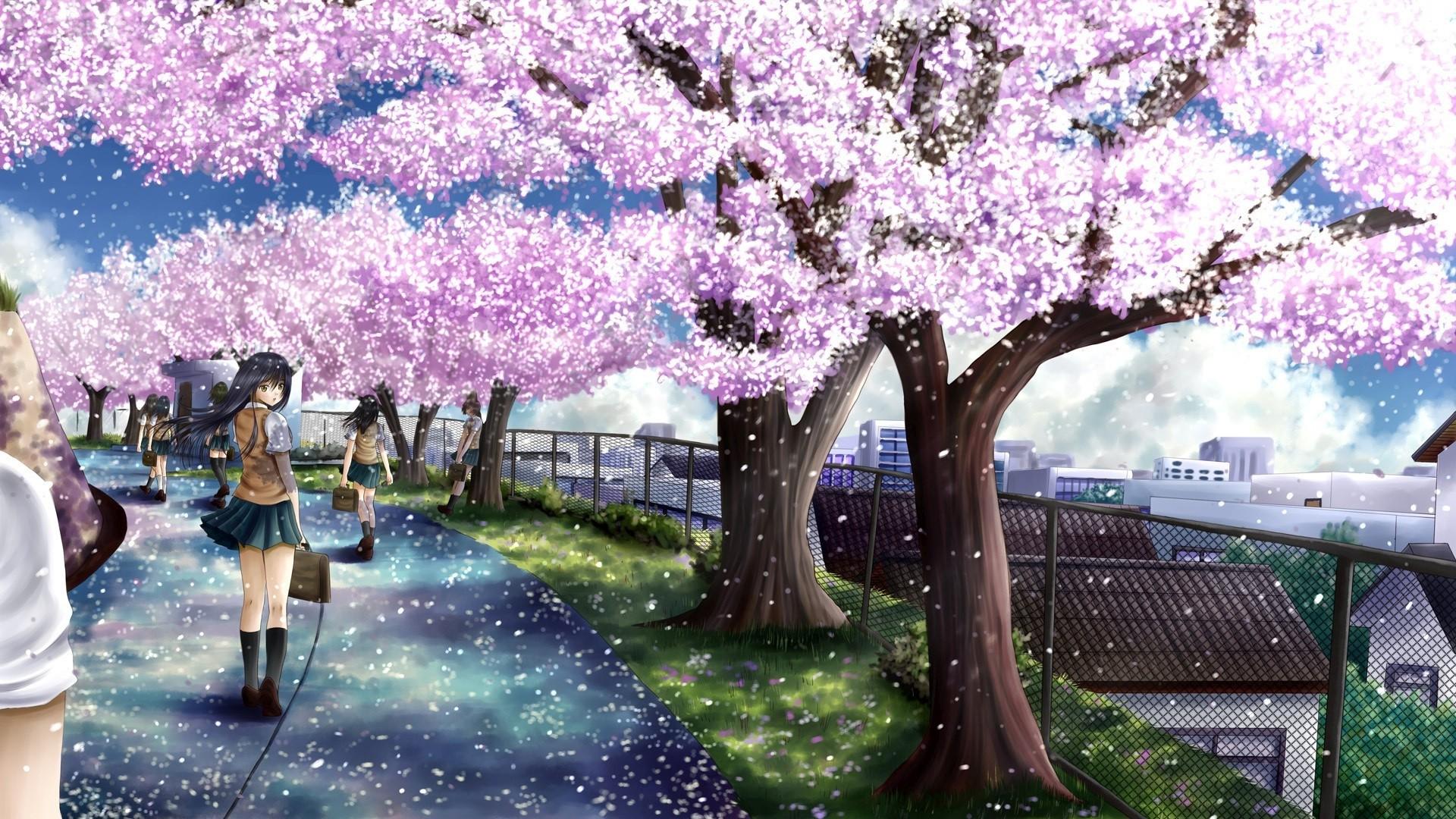 Detail Background Bunga Sakura Anime Nomer 29