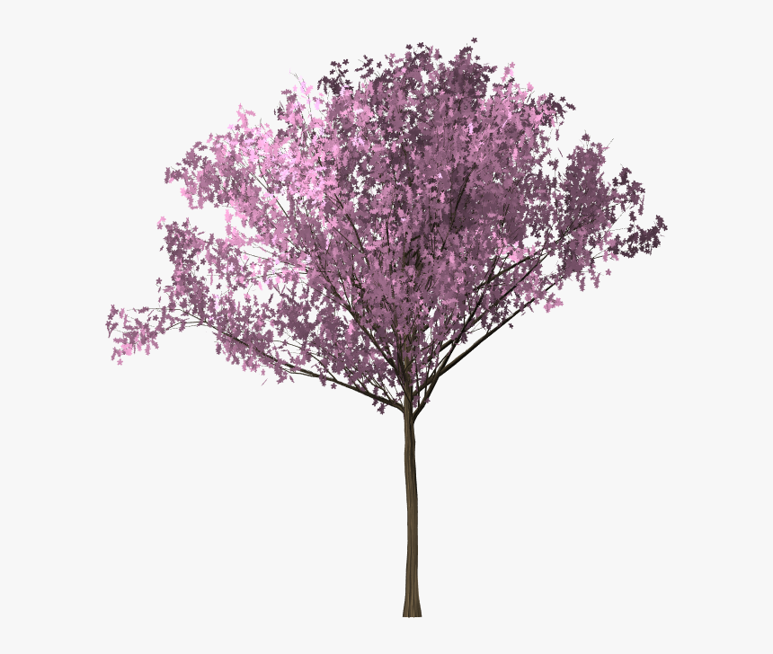 Detail Background Bunga Sakura Hd Nomer 47