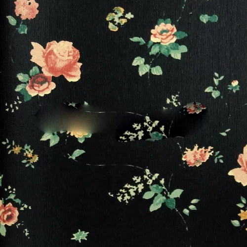 Detail Background Bunga Shabby Nomer 41