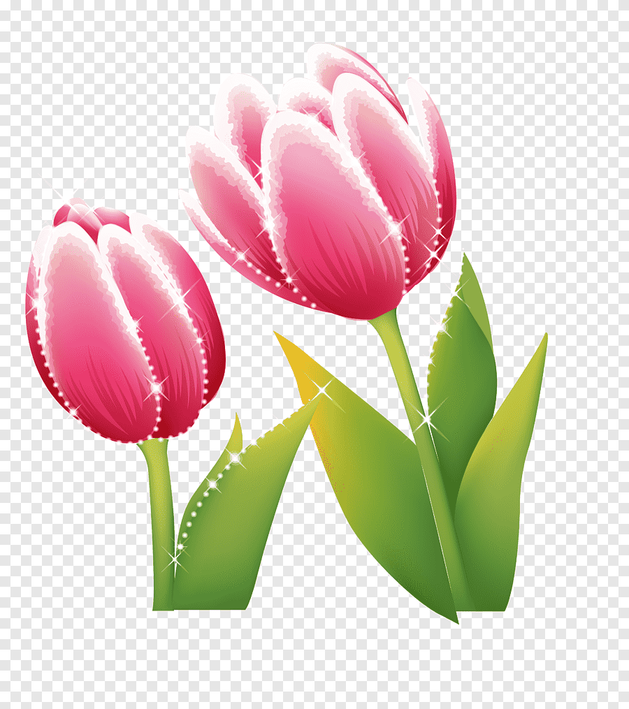 Detail Background Bunga Tulip Nomer 42