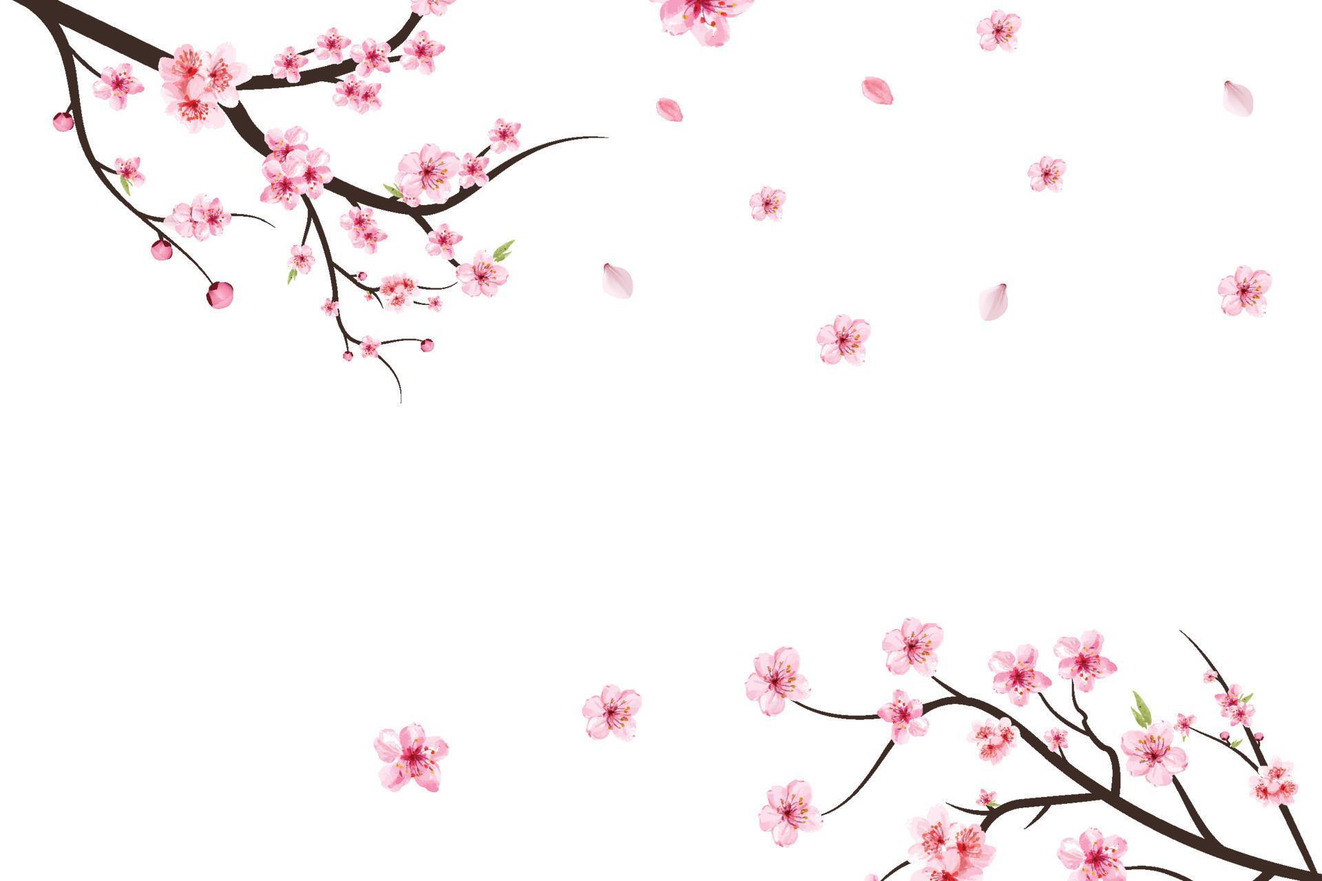 Detail Background Bunga Vector Pink Nomer 35
