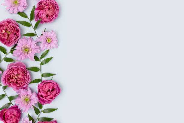 Detail Background Bunga2 Nomer 50
