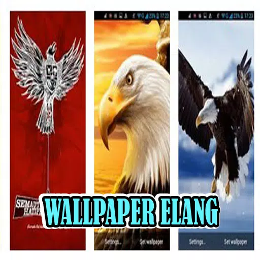 Detail Background Burung Garuda Nomer 36