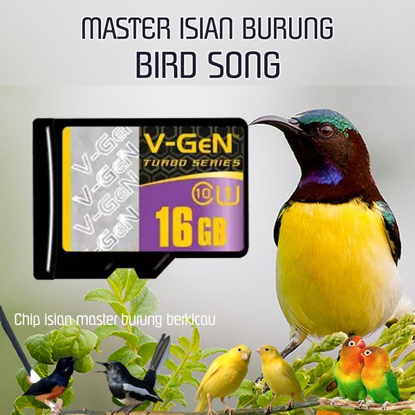 Detail Background Burung Kicau Nomer 21