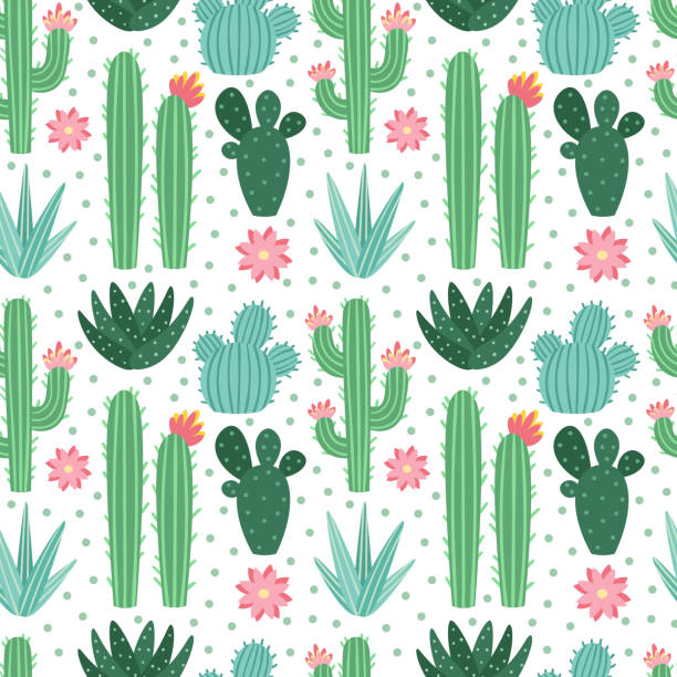 Background Cactus - KibrisPDR