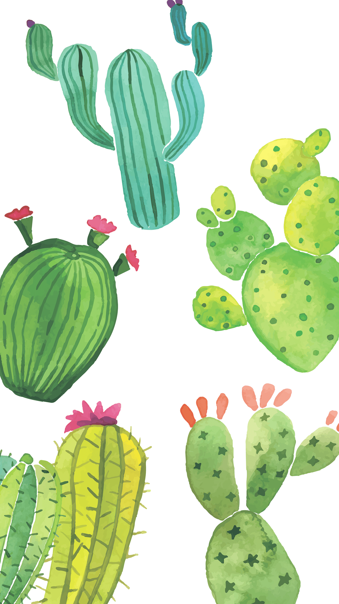 Detail Background Cactus Nomer 27