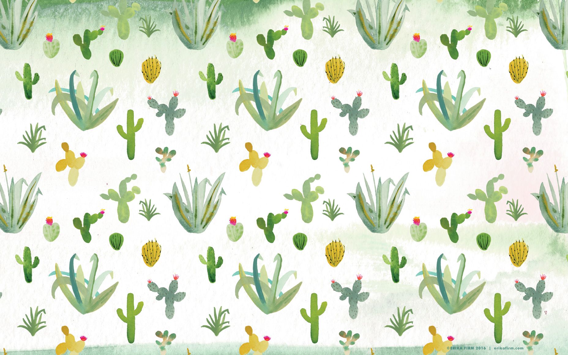 Detail Background Cactus Nomer 29