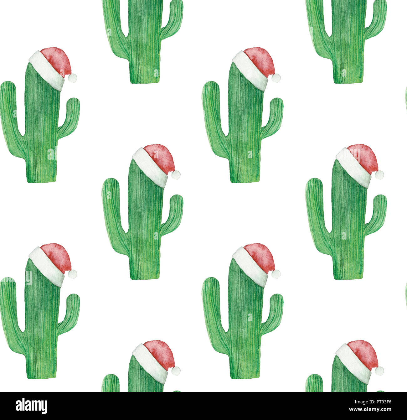 Detail Background Cactus Nomer 31