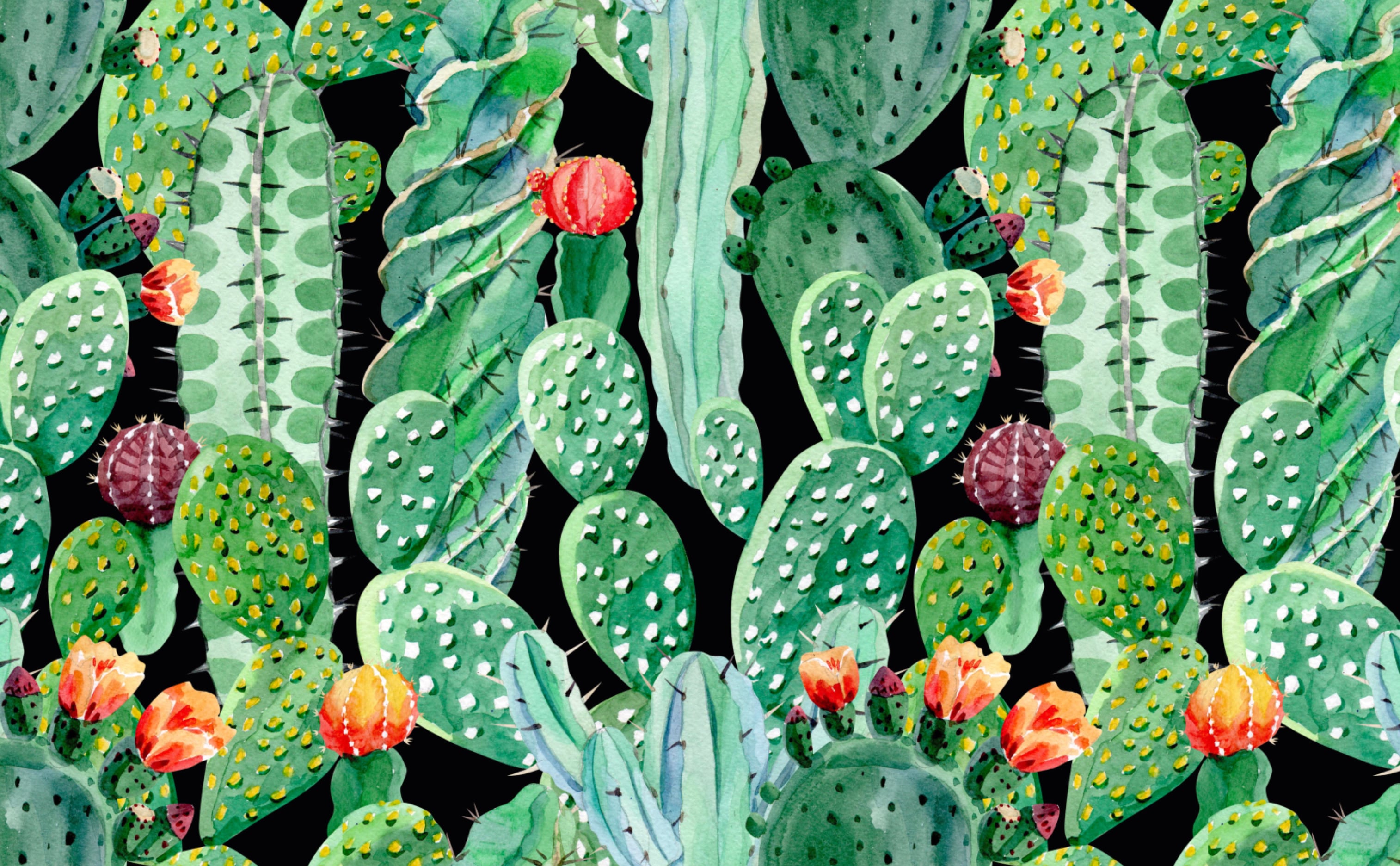 Detail Background Cactus Nomer 38