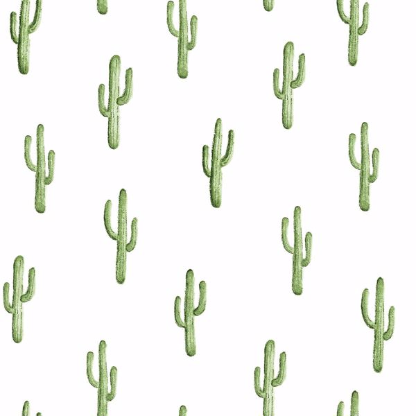 Detail Background Cactus Nomer 5