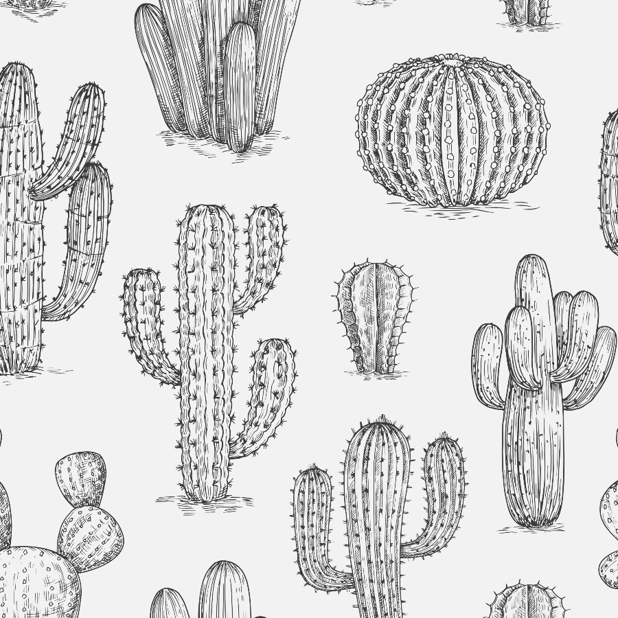 Detail Background Cactus Nomer 43