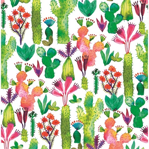 Detail Background Cactus Nomer 47