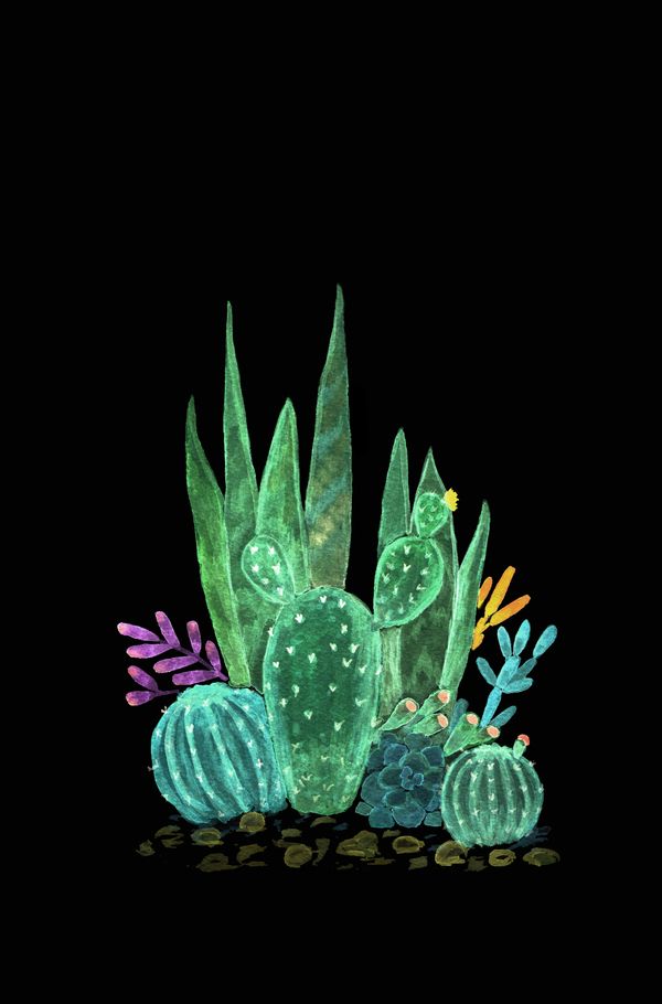 Detail Background Cactus Nomer 49