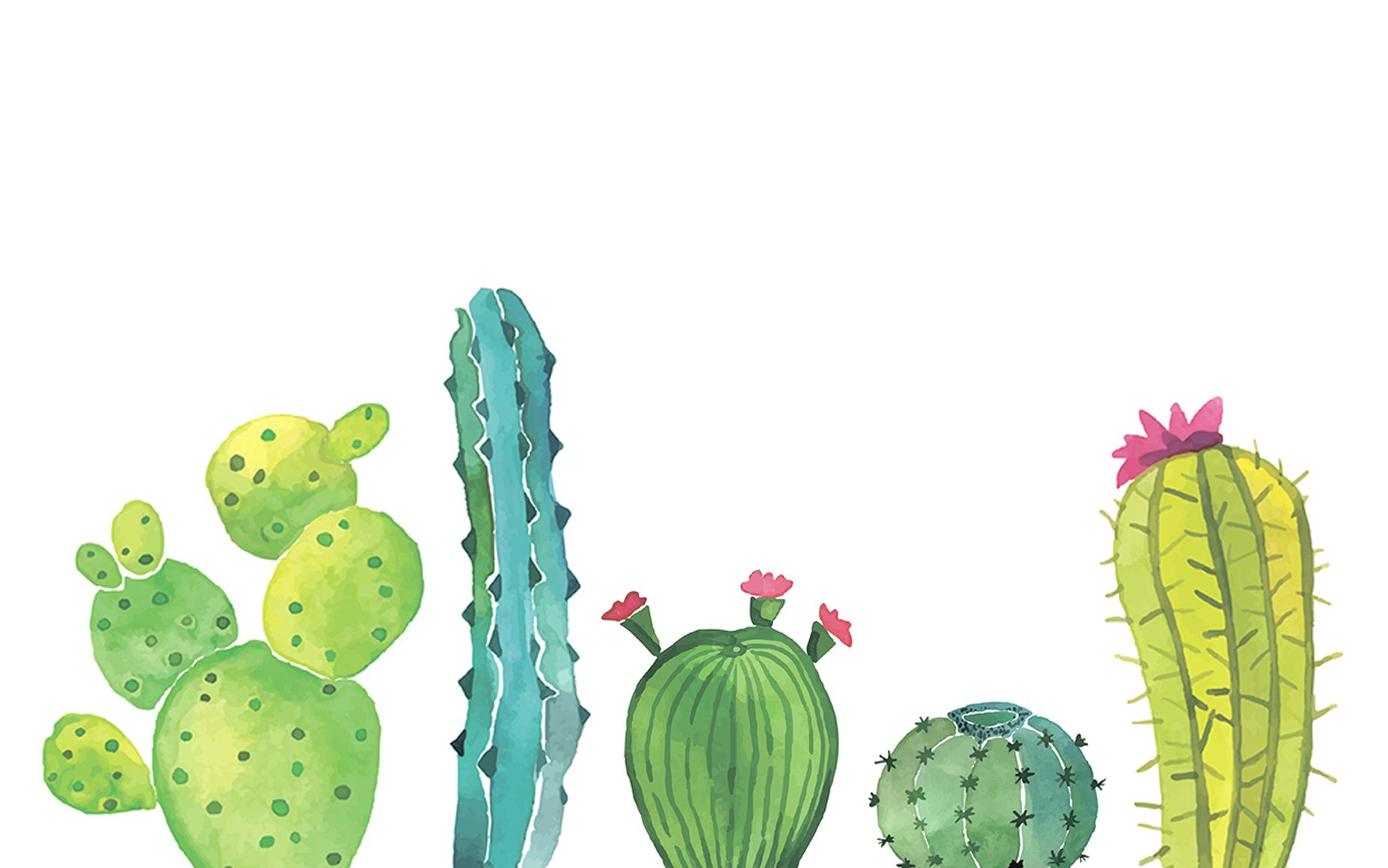 Download Background Cactus Nomer 7