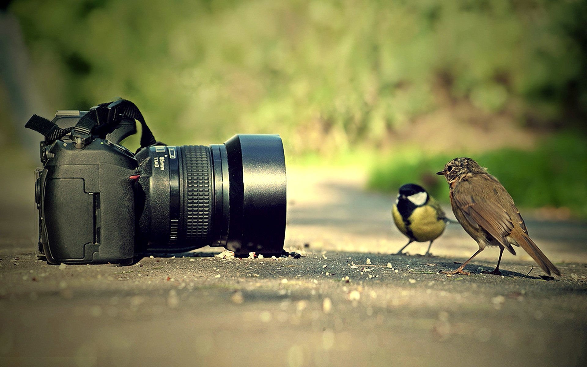 Detail Background Camera Hd Nomer 17