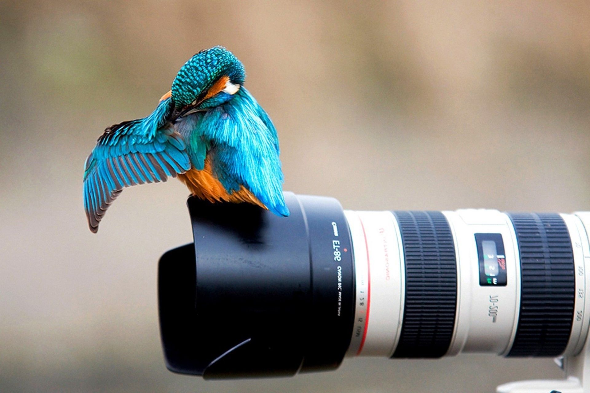 Detail Background Camera Hd Nomer 57