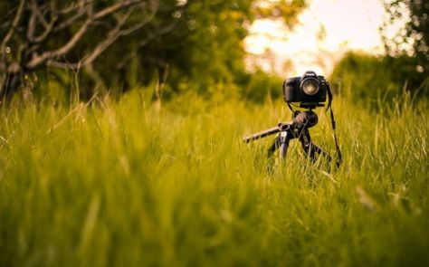 Detail Background Camera Hd Nomer 8