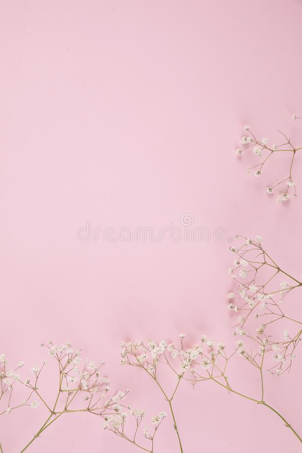 Detail Background Cantik Nomer 26